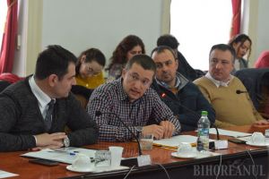 Atitudine în plen: Sebastian Lascu i-a cerut şefului CJ să pună pe ordinea de zi proiectul pentru zonele de camping şi să 