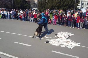 Ziua Poliţiei Române, sărbătorită în centrul municipiului alături de arădeni