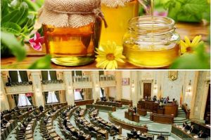 Bogdan Matei, senator PSD: Preşcolarii şi elevii din clasele primare vor primi miere ca supliment nutritiv