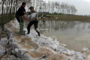 Breşă controlată în digul pârâului Cormoş pentru evacuarea apei din zona inundată