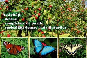 Lecţia muzeală „Fluturi dăunători livezilor