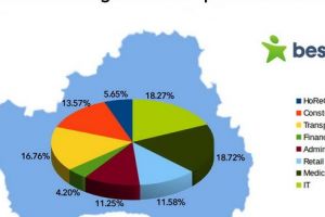 Candidaţi şi locuri de muncă în Regiunea Centru