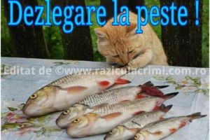 DEZLEGARE LA PEŞTE: La ce trebuie să fiţi atenţi dacă mergeţi să cumpăraţi peşte înaintea Sărbătorilor Pascale. Sfaturile ANPC