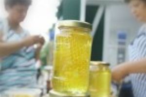 Senatorul Chisăliţă, încântat că Senatul susţine apicultorii