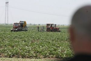 România SE VINDE STRĂINILOR aproape GRATIS