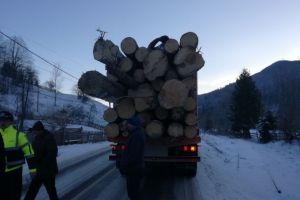 Aproape 200 mc de cherestea, în valoare de peste 132.000 de lei, confiscaţi de poliţişti