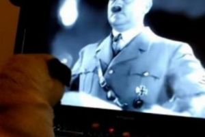 Şi-a dresat câinele să facă salutul nazist. Acum e judecat de autorităţi pentru „ofensă grosolană” 