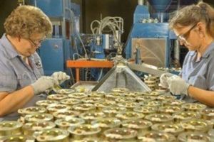 Rata somajului din Timis e in crestere cu valoarea „spectaculoasa” de 0,02 procente