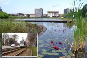 Ne vedem în cartiere! Urmează votul cu urnă pentru cele 10 proiecte cu bugetare participativă din Oradea