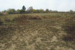 Mymob Myjob SRL, prin lichidator, vinde prin licitatie publica un teren in comuna Topalu, distanta pana la Dunare este de aproximativ 600 m