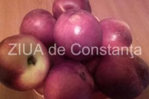 Nectarinele au putine calorii si sunt recomandate in curele de slabire