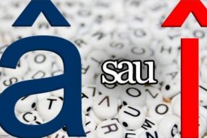 Proiect: „î” propus să devină oficial „â” în toate primăriile