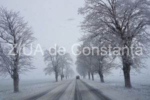 DRDP: Starea drumurilor din judetul Constanta si zonele limitrofe. Cum se circula. S-a actionat cu zeci de utilaje