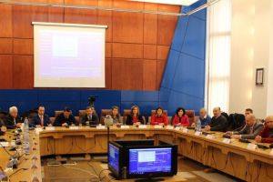 Consiliul Judeţean: Ce proiecte aprobă aleşii în 27 martie