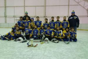 46 de echipe se întrec în weekend, la „Cupa 100 ROMÂNIA”, la hochei pe gheaţă