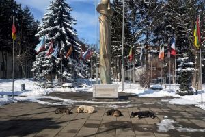 Dan Cuşnir: Suceava este destinaţie turistică de excelenţă, în timp ce primăria este ...