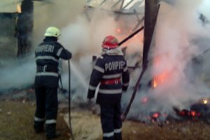 Incendiu în Oradea: O magazie din lemn s-a făcut scrum