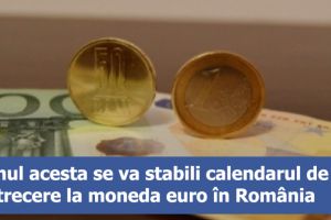 Planul naţional de adoptare a monedei euro, propus spre asumare politică până la 15 noiembrie 2018