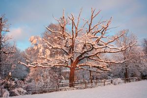 Fenomen rar în România – Ninsoare cu zăpadă portocalie