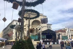 Aveti o idee pentru Timfloralis? Primaria cauta designeri floristi