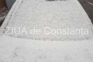 Ninge la Constanta. Deja s-a depus un strat generos de zapada. Judetul Constanta este sub cod gablen de vreme severa