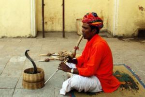 SPECTACOL MORTAL. Dresorul, la un pas de TRAGEDIE, în confruntarea cu şarpele MONSTRUOS, în timp ce audienţa APLAUDA - VIDEO