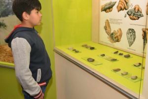 „Școala Altfel” la Hunedoara. Intrări gratuite la Castel, Muzeul de Arheologie şi Grădina Zoologică