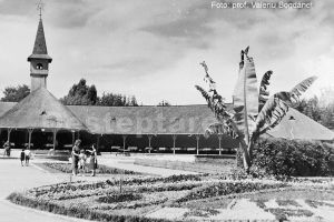 Imagine de colecţie, marca Valeriu Bogdăneţ