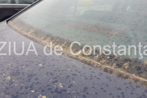 Constantenii s-au trezit astazi cu praf saharian pe masini (galerie foto+video)