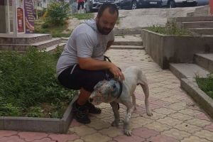 adevarul.ro: Povestea politistului roman care salveaza caini exploatati in lupte. Cumplitul caz al lui Paco, patrupedul de sacrificiu“ scapat in ultimul moment de la moarte 