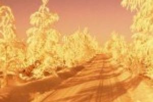 COD PORTOCALIU/ZAPADA PORTOCALIE / Trafic blocat pe  DJ 211B Baraganu-Victoria-Mihai Bravu