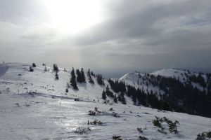 Cod galben de vreme severă în zona de munte a judeţului
