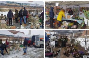 FOTO/VIDEO: Târgul Grădinarului 2018 – Doar o parte din expozanţi prezenţi în prima zi a evenimentului, din cauza vremii nefavorabile. Aproximativ 40 de producători sunt aşteptaţi în zilele următoare