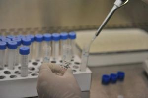 Peste 1.500 de cazuri de gripă au fost confirmate în sezonul rece 2017 – 2018, dintre care 8 în Teleorman