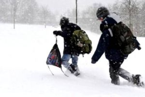 Cursuri suspendate, vineri, din cauza vremii, în două şcoli din judeţul Alba