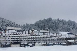 Vremea nefavorabilă amână şi Liga a IV-a şi Liga a V-a! Ninsorile au paralizat „fotbalul amator”