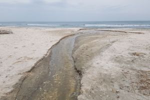 Persoana depistata in timp ce deversa apa uzata in Marea Neagra. Ce sanctiune au aplicat politistii locali