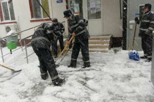 Pompierii deszapezesc curtile spitalelor din Ploiesti