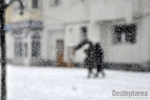 Vine, vine Primăvara…