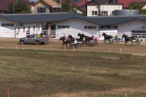 Sezonul hipic mai stă un pic