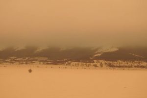 Peisaj ireal in zona Harsova-Isaccea. Cum arata zapada care a acoperit pamantul. Ce fenomen ciudat a avut loc (galerie foto)