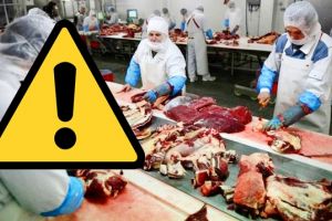 Avertisment DSVSA: aveţi mare grijă atunci când cumpăraţi carnea de miel pentru masa de Paşte