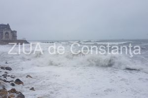 Poezia zilei:  Calea spre tine - Irina Lucia MIHALCA