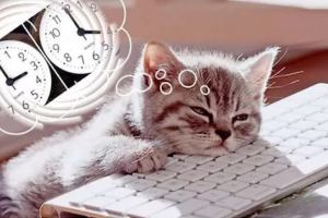 Se schimbă ora în România, în noaptea de sâmbătă spre duminică