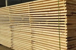 Localnic din Hodac, prins cu lemne fără documente