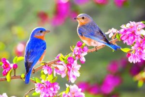 PROGNOZA METEO pentru URMĂTOARELE ZILE. Vremea va fi rece pentru aceasta dată, vezi când se întoarce primăvara