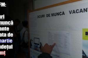 AJOFM: 523 locuri de muncă vacante la data de 24 martie 2018 în judeţul Neamţ