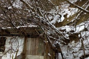 FOTO: PERICOL! Alunecare de teren la Sighişoara