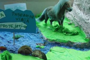 FOTO:„NATURĂ pentru APĂ” de Ziua Mondială a Apei