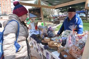 Agricultorii din Valea Ierului s-au mutat la Oradea. Târg de bunătăţi în Parcul Magnoliei (FOTO)